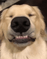 200.gif?cid=f0bdee70028l2micmol6krwbr4etxujmv6ler6ue08kve1xg&rid=200.gif&ct=g