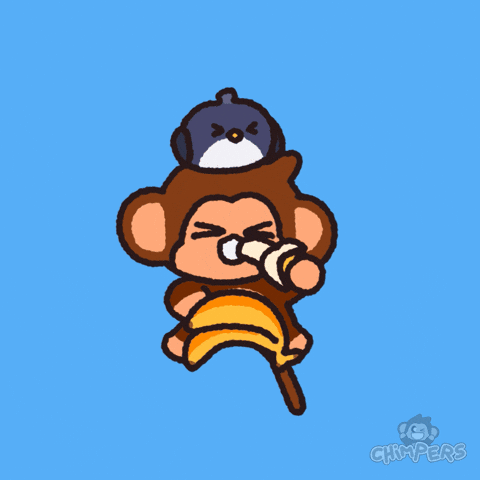 Happy Monkey GIF by Chimpers