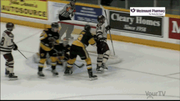 Goal Hockey GIF