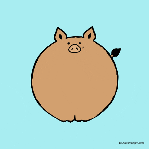 wild pig animation GIF by Arsenije Vujovic