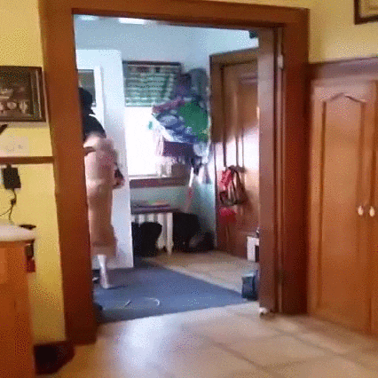 paulosantana04gmailcom  GIF