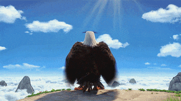 One Week Bomb GIF by Angry Birds