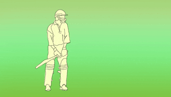 floramartyr sport animation cricket cricketer GIF