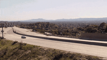 back to the future fox GIF by The Last Man On Earth