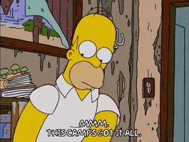 Episode 11 Camp GIF by The Simpsons