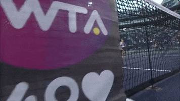 net tennis GIF