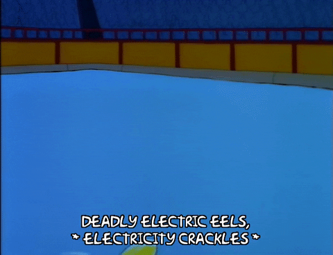 Electric-eels GIFs - Get the best GIF on GIPHY