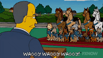 200.gif?cid=fc005b085991e9b7e68a1c0cb8bd42e2c874ab12dc1c1020&rid=200.gif&ct=g