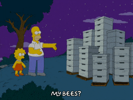 Lisa Simpson Boxes GIF by The Simpsons