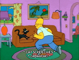 Season 1 Episode 6 GIF by The Simpsons