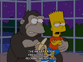 200.gif?cid=fc005b08cc99df3511af4c56a7e88d881fdb2dfe64803ded&rid=200.gif&ct=g