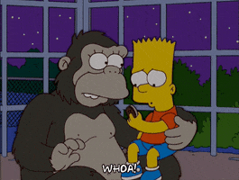 200.gif?cid=fc005b08a4597a584592e6dabded9db73926337324742d16&rid=200.gif&ct=g