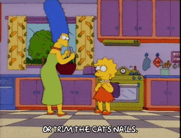 200.gif?cid=fc005b08cb5a627d885761adc36f59e048c98d1a62e1299c&rid=200.gif&ct=g