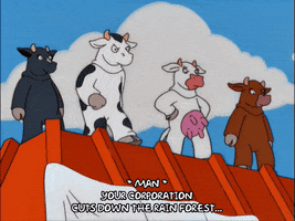 episode 4 angry cows GIF