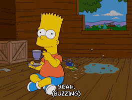 200.gif?cid=fc005b0858918fbb44919e3cde1d8c31060fe61623db7c2f&rid=200.gif&ct=g