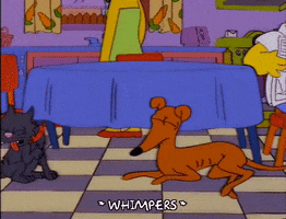 Marge Simpson Dog GIFs - Find & Share on GIPHY