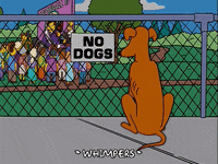 Pemerintah Larang Bawa Anjing ke Car Free Day