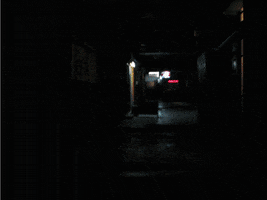 happiness  GIF