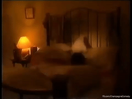 tlschampagne valentines the late show GIF