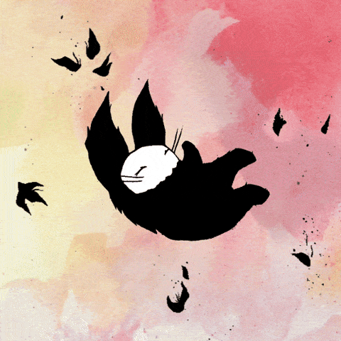 dom h w animated GIF