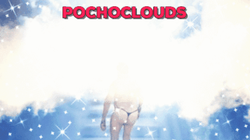 cachimacho pocho GIF