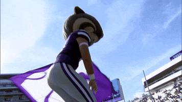 Kansas State Wildcats Football GIF by K-State Athletics