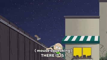 run chasing GIF by South Park 