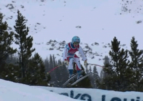 talbotbohemiacardinal  GIF