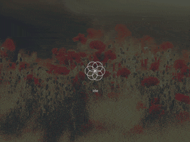 nickbuturishvili  GIF