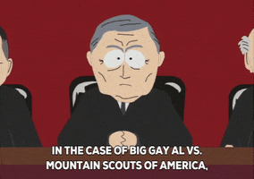 judge SCOUTS GIF by South Park 