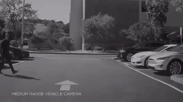 daniellemuoio  GIF