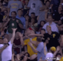 Fail In The Face GIF by MLB