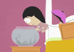 fish bowl GIF by South Park 