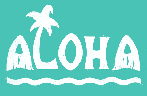 hawaii hello GIF by Dylan Morang