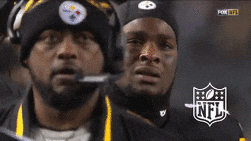 Pittsburgh Steelers Do Not Want GIF by NFL