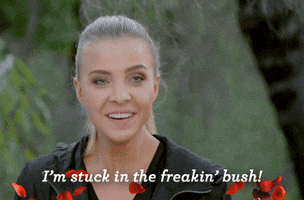 stuck in the bush camping GIF by The Bachelor Australia