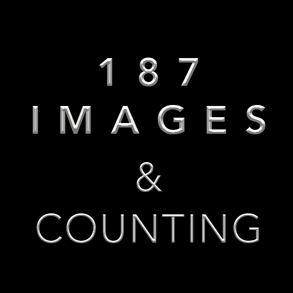 shanepatrickqureshi  GIF