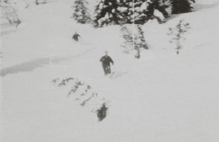Vintage Downhill Skiing GIF by US National Archives