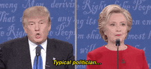 sounds good donald trump GIF by Election 2016