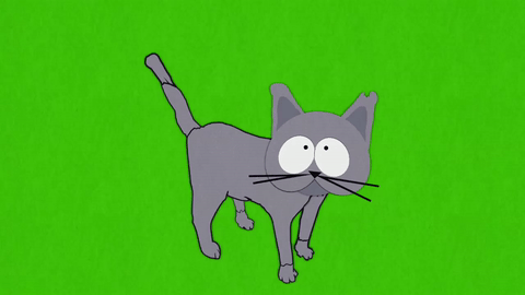 Cat Mr. Kitty GIF by South Park - Find & Share on GIPHY