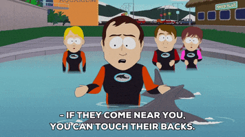 200.gif?cid=fc005b083909b1ba6b6e66675848c3af222d1bbf54ed68ad&rid=200.gif&ct=g
