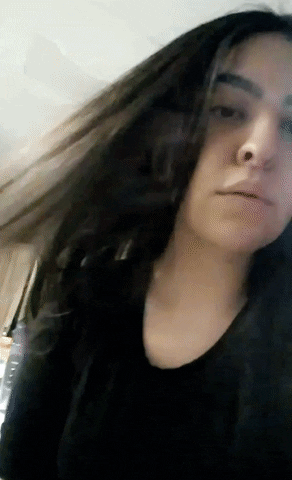 bearyprincess  GIF