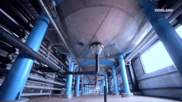 viceland GIF by WEEDIQUETTE