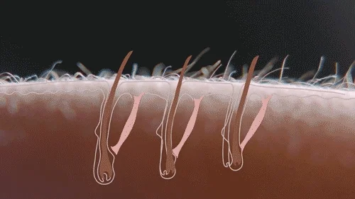 fear goosebumps GIF by PBS Digital Studios