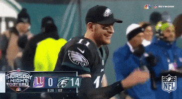 Philadelphia Eagles Applause GIF by NFL