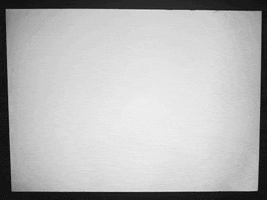 falenabalena animation loop black and white roll GIF