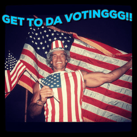 Voting Arnold Schwarzenegger GIF