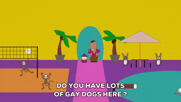 200.gif?cid=fc005b0857412ed170a985b79ee18a265ba4b92d641430bc&rid=200.gif&ct=g