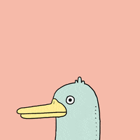 Bebek Gifs Get The Best Gif On Giphy Bebek Gifs Get The Best Gif On Giphy