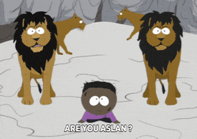 token black lions GIF by South Park 